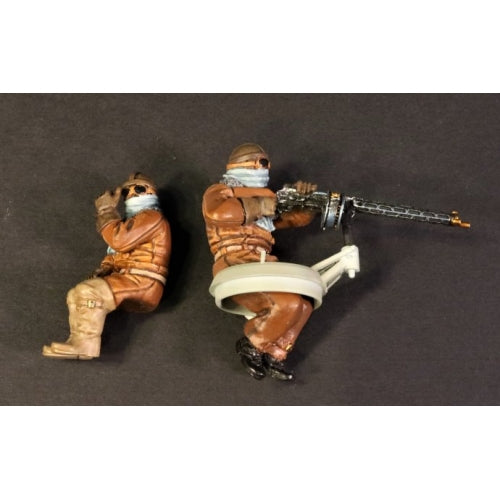 Pilot and Observer for LFG ROLAND CIIa