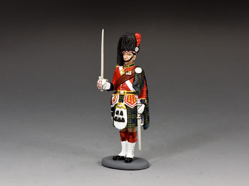 Black Watch Officer At Attention