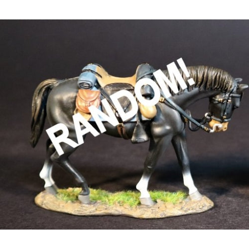 Single cavalry horse (random colour)