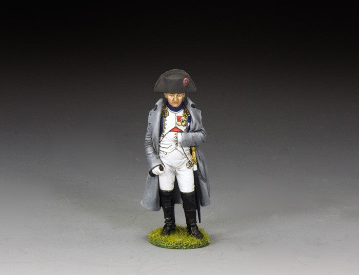 Napoleon As Colonel of the Imperial Guard