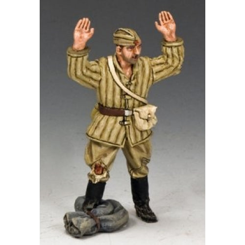 Red Army Surrendering (small size box)