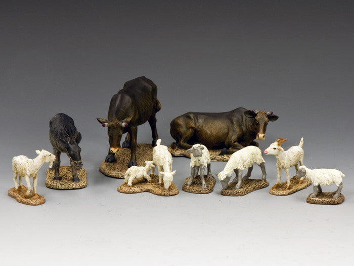 The Animal Collection