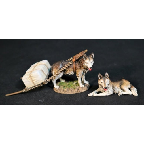 Two Dogs with Travois