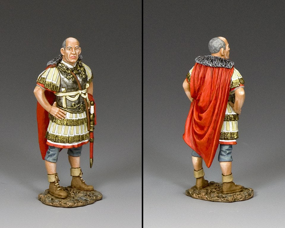 Standing Senior Officer